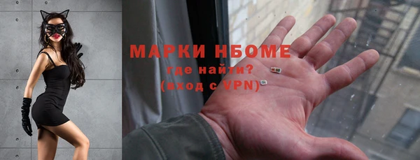 сатива Арсеньев