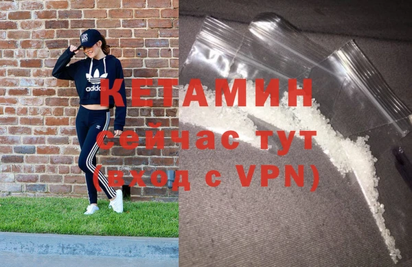 трава Аркадак