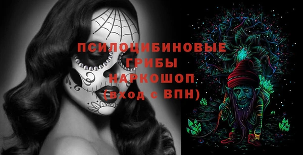 сатива Арсеньев