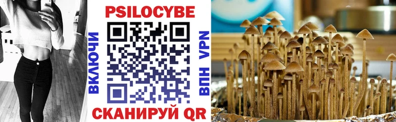 MEGA как войти  где можно купить наркотик  Тимашёвск  Галлюциногенные грибы ЛСД 
